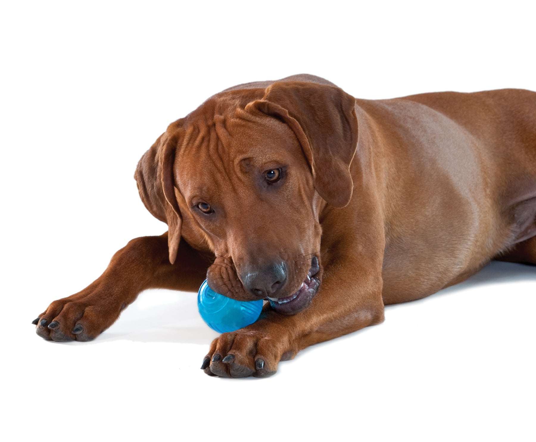 Petstages ORKA Tennis Ball