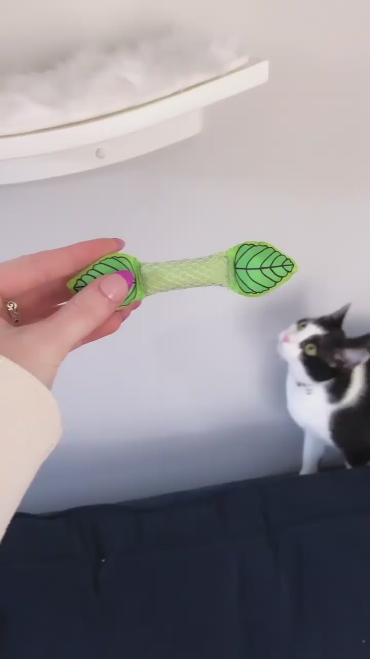 Catstages Fresh Breath Mint Stick
